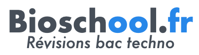 logo bac techno